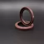 45*62*7/7,5 N1T01-PL FPM [BABSL+PTFE]